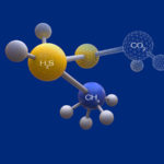 Pelatihan H2S and CO2 Removal