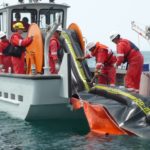 Training Oil Spill Response